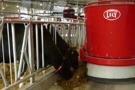 Sunny Glade Farm dairy cows eat from Lely robot.