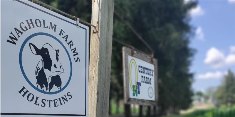 Wagholm Farms Holsteins